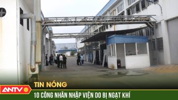 10 công nhân ở Quảng Ninh nhập viện nghi do ngạt khí | ANTV