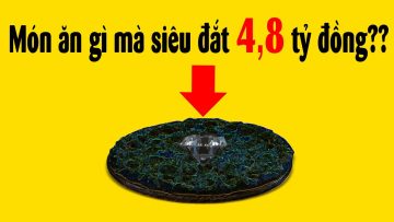 5 Món ăn đắt giá nhất hành tinh – Làm cả đời không đủ ăn 1 lần