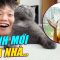 À THÌ… MÌNH MỚI MUA NHÀ ANH EM Ạ 🎉🎉🎉 (PHẦN 1)