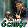 Ấn Độ: Mình Đã Đến Khu Ổ Chuột Lớn Nhất Thế Giới, Dharavi