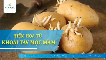 Ăn khoai tây mọc mầm: Giao tính mạng cho tử thần!