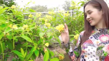Áo dài Thái Tuấn – BST Ươm Mầm TVC 30s