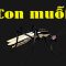 👉 Bạn có biết những điều này về con muỗi 🤔