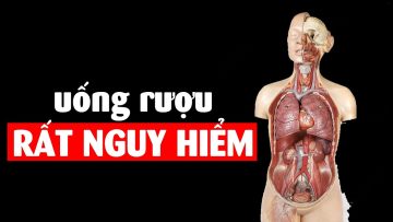 Bạn sẽ sợ rượu sau khi xem video này