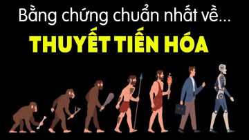 Bằng chứng về thuyết tiến hóa không thể chối cãi