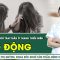 Báo động vấn đề sức khoẻ tâm thần ở thanh thiếu niên | SKĐS
