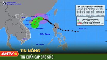 Bão số 8 giật cấp 11 gây gió mạnh, sóng lớn trên vùng biển Bắc Biển Đông | ANTV
