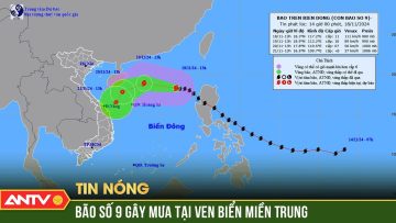 Bão số 9 giảm cấp và suy yếu trên vùng biển Trung Trung Bộ | ANTV