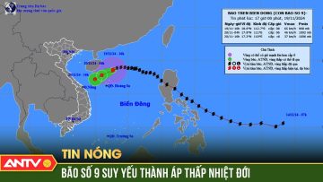 Bão số 9 suy yếu thành áp thấp nhiệt đới, có khả năng tan trên biển | ANTV