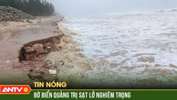 Bão Trà Mi tạo sóng lớn, đánh vỡ bờ biển Quảng Trị, gây sạt lở nghiêm trọng | ANTV