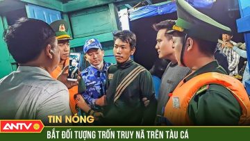 Bắt đối tượng trốn truy nã trên tàu cá | ANTV