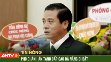 Bắt tạm giam Phó Chánh án TAND cấp cao tại Đà Nẵng | ANTV