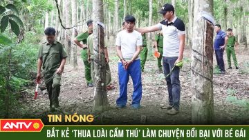 Bắt Yêu râu xanh đột nhập vào nhà, làm trò đồi bại với bé gái rồi cướp tài sản | ANTV