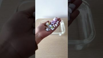 Bé khám phá khoa học qua thí nghiệm stem hoa nở | Flower experiment for kids #water #shorts