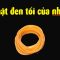 Bí mật của nhà cái khiến người chơi Cá độ luôn thua
