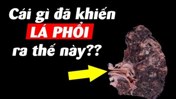 Bụi mịn là gì? Sự đáng sợ kinh khủng của nó