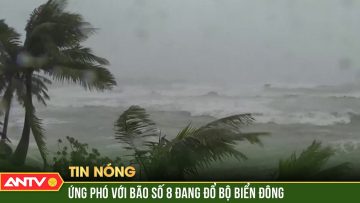 Các tỉnh từ Quảng Ninh đến Bình Định chủ động ứng phó cơn bão số 8 | ANTV