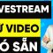 Cách livestream từ video có sẵn (Không cần live mỗi ngày)
