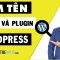 Cách Tìm Tên Theme Và Tên Plugin Website WordPress Đang Sử dụng | Văn Thế Web