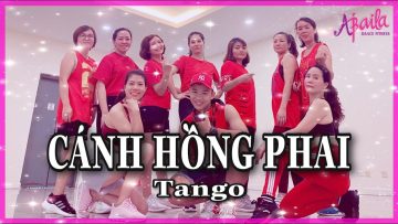 Cánh Hồng Phai – Hoàng Yến Chibi | Zumba | Tango | Choreography Hưng Kim | Abaila Dance Fitness |