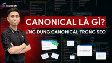 Canonical là gì? Ứng dụng của Canonical trong SEO