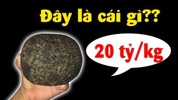 Cát Lợn là gì mà có giá hàng chục tỷ 1 kg??