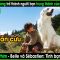 Cậu bé tình cờ gặp chú chó hoang và trở thành bạn bè thân thiết – REVIEW PHIM: Belle và Sébastien