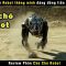 chiếc boss đáng đồng tiền bát gạo – review phim Chú chó Robot
