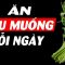 Chuyện gì xảy ra khi bạn ăn rau muống mỗi ngày??