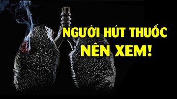 Chuyện gì xảy ra khi bạn hút thuốc mỗi ngày?