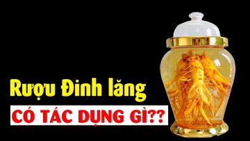 Chuyện gì xảy ra khi bạn uống rượu đinh lăng??