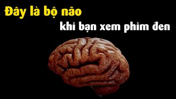 Chuyện gì xảy ra trong não khi bạn xem …