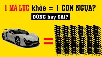Có phải 1 Mã lực khỏe = 1 con ngựa?