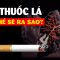 Cơ thể sẽ thay đổi thế này khi bạn ngừng hút thuốc