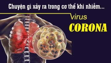 Con virus Corona sinh đẻ như thế nào?