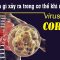 Con virus Corona sinh đẻ như thế nào?