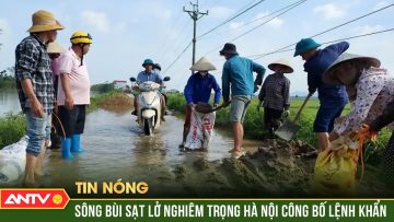 Công bố tình huống khẩn cấp sạt lở đê tại Chương Mỹ, Hà Nội | ANTV