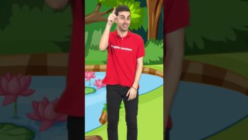 Cùng bé phân biệt từ vựng tiếng Anh con vật #Alligator và #Crocodile #Shorts #Englishsong #animals