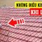 Cuộc sống trong vùng lũ khốn khổ như thế nào?