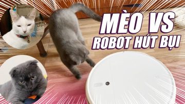 CUP PHẢN ỨNG THẾ NÀO KHI LẦN ĐẦU THẤY ROBOT HÚT BỤI??🤣🤣🤣 – CUP THE CAT