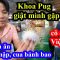 Da cá mập, cua bánh bao – Khoa Pug giật mình gặp cô dâu Việt Đài bán hải sản độc lạ và cái kết