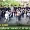Dàn báo thủ bốc đầu, chặt biển xe, la hét gây náo loạn đường phố ở Hà Nam | ANTV
