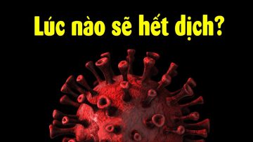 Đây là cách mà Đại dịch Covid-19 sẽ kết thúc!!