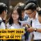 Đề thi văn THPT 2024. CÁ TÍNH là gì ??? | TỔ BUÔN 247 (27/06/2024)
