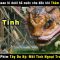 diệt yêu trừ ma bằng 300 bài hát thiếu nhi – review phim Tây du ký: mối tình ngoại truyện P1