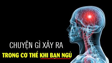 Điều gì xảy ra trong cơ thể khi bạn ngủ??