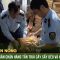 Đón lõng xe tải, bắt quả tang gần 2 tấn trái cây sấy dẻo và kẹo nhập lậu | ANTV