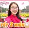 Đón Tết tại 3 Miền | VyLog Tết năm nay ở 3 Nhà