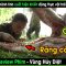 Động thực vật trái đất bị đột biến khi sinh vật ngoài hành tinh xâm chiếm -REVIEW PHIM:VÙNG HỦY DIỆT