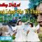 Du Lịch Đà Lạt Hè 2024 | Review Thung Lũng Các Vị Thần Hot Nhất – GOD Valley Dalat | Gia Đình MYSAN